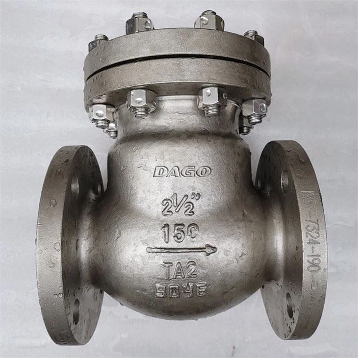 Titanium Alloy TA2 Check Valve